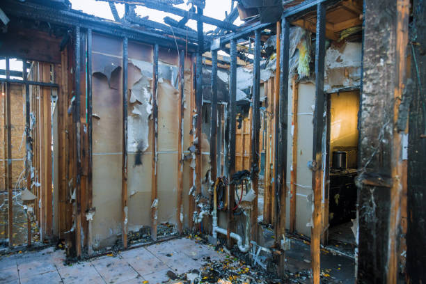 Professional Fire Damage Removal technician working in San Antonio Heights, CA